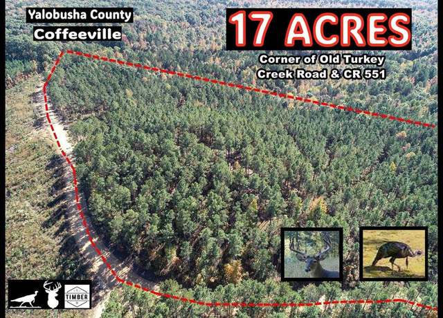 Property at x CR 551 And CR 129, Coffeeville, MS 38922