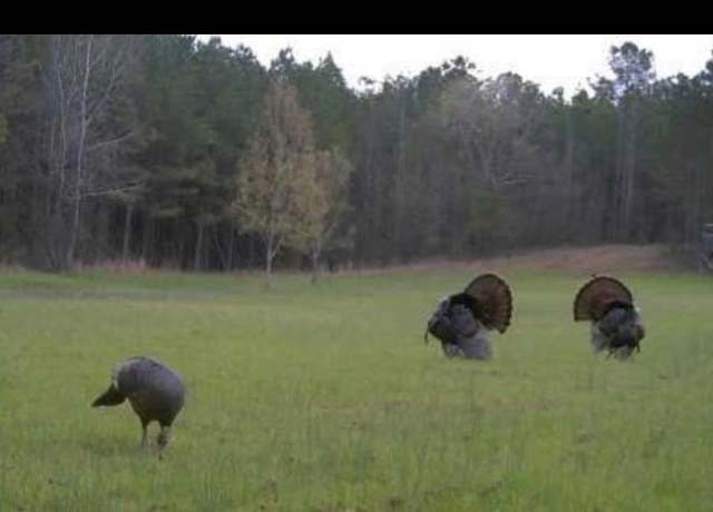 Property at 200 Cr 444, Oxford, MS 38655