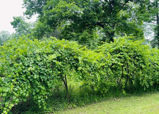 Property at 413 N Pontotoc, Bruce, MS 38915