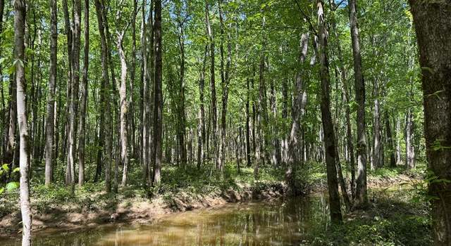 Photo of 0 County Road 4170, Other, MS 38859