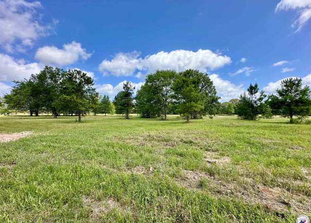Property at 0 Fm 911 S, Avery, TX 75554