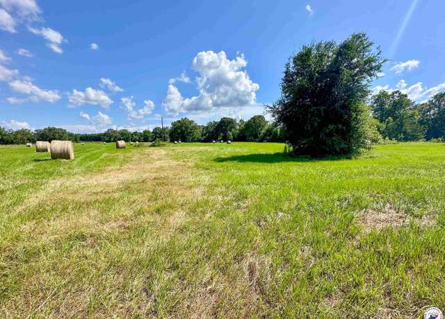 Property at 0 Cr 4322, Avery, TX 75554