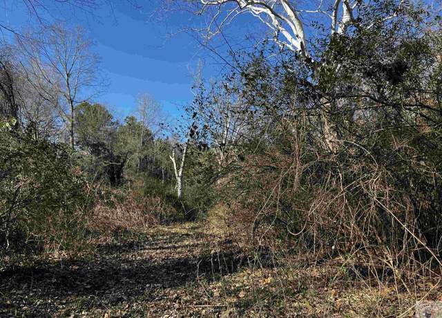 Property at 1234 County Rd, Maud, TX 75567