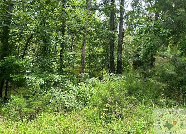 Property at Navajo Dr, Jefferson, TX 75630