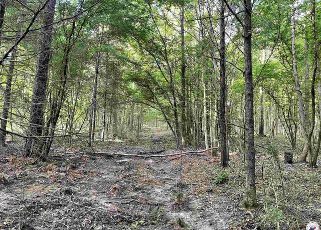 Property at TBD Fm 2683, Jefferson, TX 75657