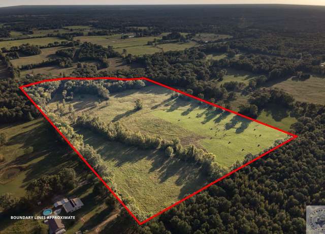 Property at 42 +/- ac Cr 4530, Avery, TX 75554
