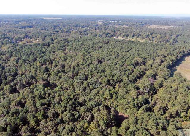 Property at 174 1/2 Lr 730, Ashdown, AR 71822
