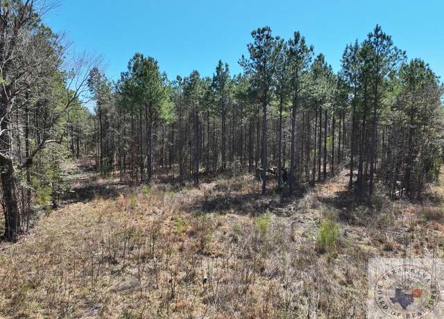 Property at TBD Cr 1453 & 1454, Linden, TX 75563