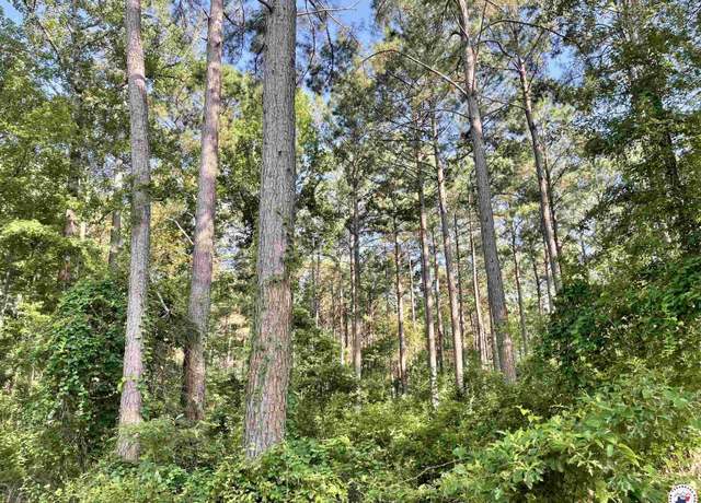 Property at TBD Cr 1112, Atlanta, TX 75563