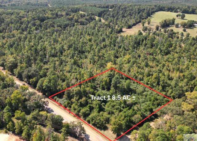 Property at TBD TX Hwy 43 And CR 4122, Bivins, TX 75555