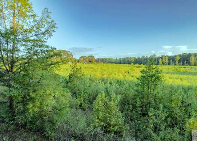 Property at TBD Cr 4230, Atlanta, TX 75551