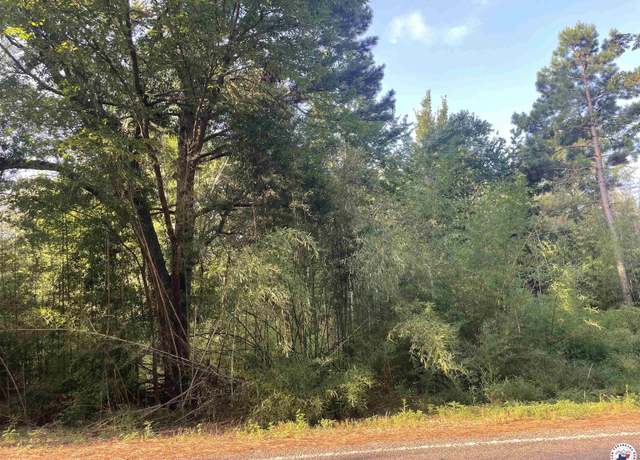 Property at 2.25 acres Fm 1398, Hooks, TX 75561