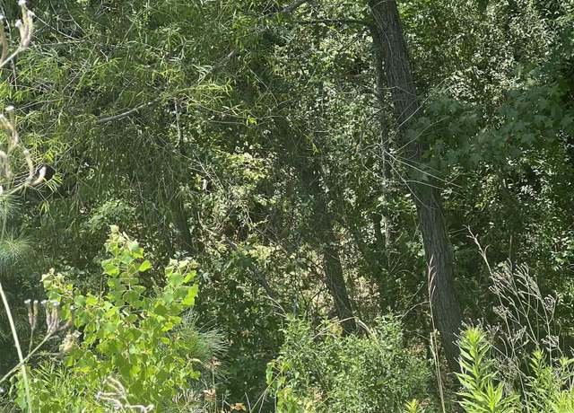 Property at LOTS Hawkins, Wake Village, TX 75503