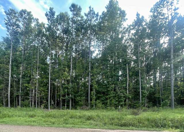 Property at Miller County 32, Doddridge, AR 71834