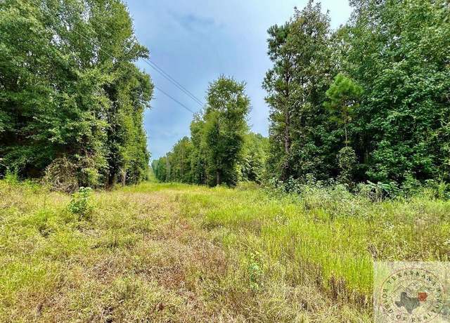 Property at Cr 4339, Bivins, TX 75555