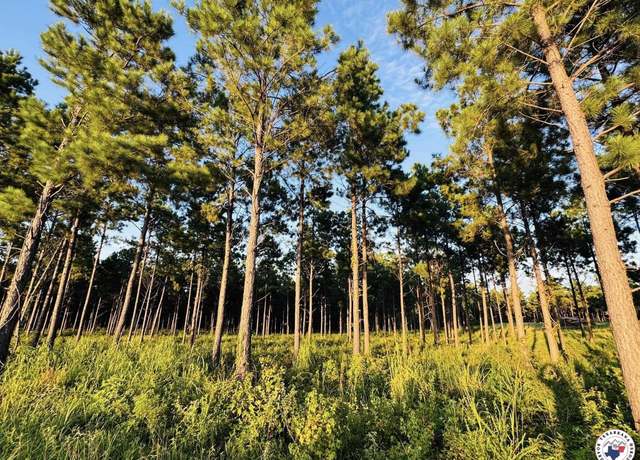 Property at TBD 3659, Queen City, TX 75572