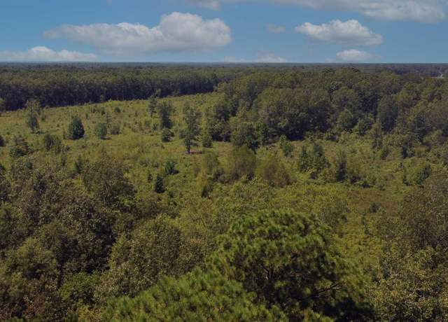 Property at 0 County Road 4223, Simms, TX 75574