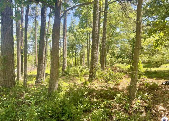 Property at Lot 46 Cr 4793, Atlanta, TX 75551