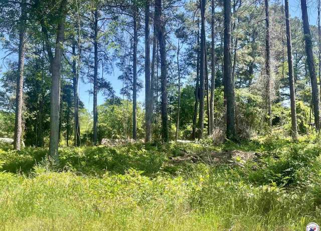 Property at Lot 50 Cr 4793, Atlanta, TX 75551