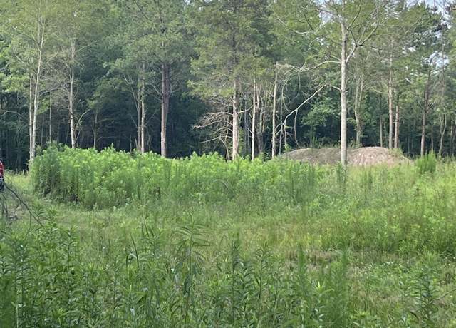 Property at 2274 Cr 4120, Simms, TX 75567