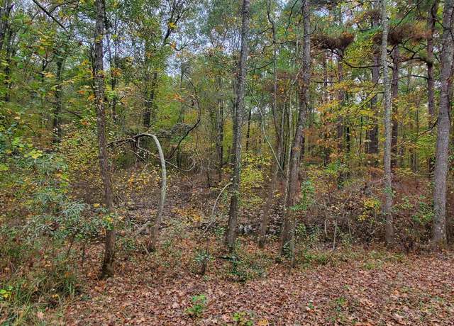 Property at 60.50 Pr 1102, Fouke, AR 71837