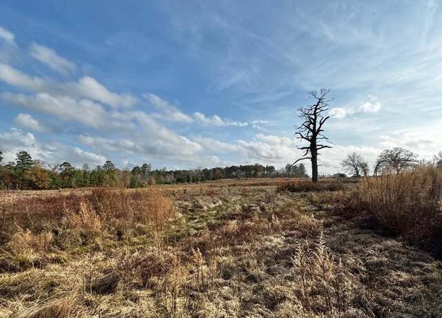 Property at TBD 20.33 acres Cr 1460, Linden, TX 75563