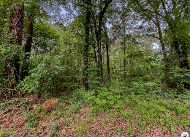 Property at TBD Rhine Ave, Texarkana, TX 75503