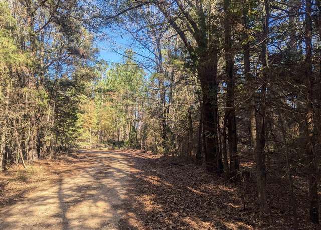 Property at Cr 4177, Simms, TX 75574