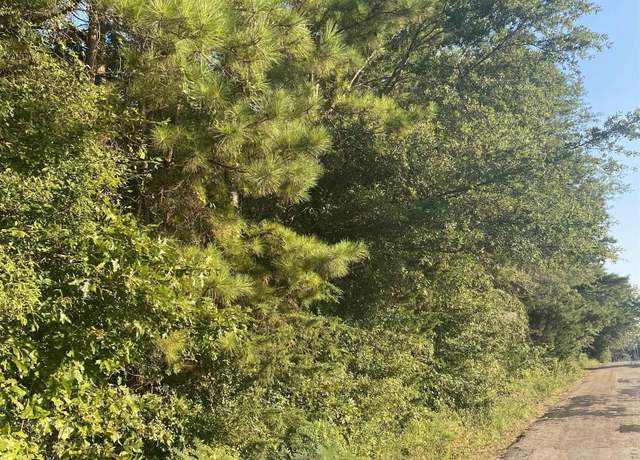 Property at 0 Cr 4219, Simms, TX 75574