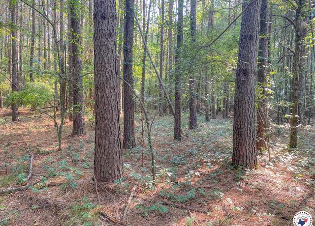 Property at 14.49+/- ac Fm 990, Dekalb, TX 75559