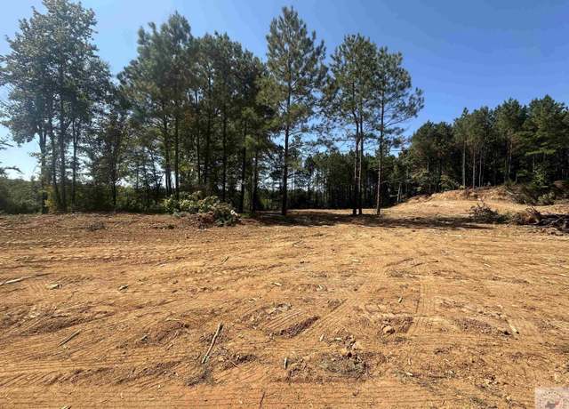 Property at TBD Fm 248, Bivins, TX 75555