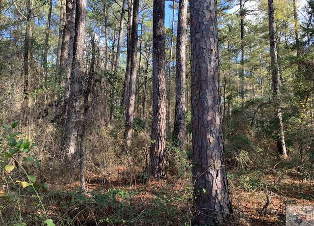 Property at TBD Fm 251, Bivins, TX 75555