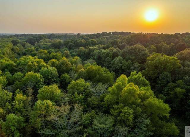 Property at TBD Little River 35 (20 Acres), Ogden, AR 71822