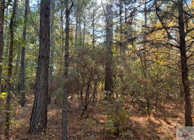 Property at TBD CR 4122 And TX Hwy 43, Bivins, TX 75555