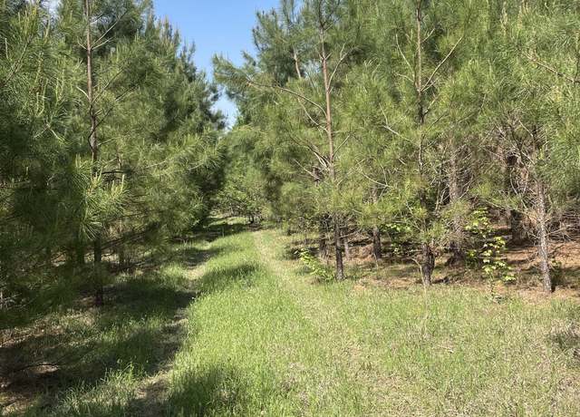 Property at TBD Miller County 6, Doddridge, AR 71834