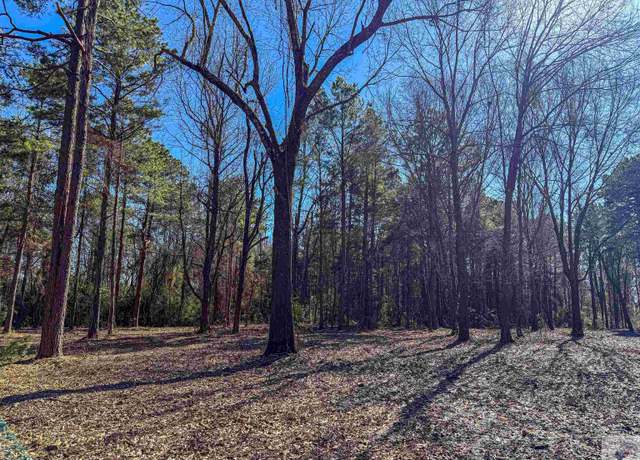 Property at TBD Old Blackman Ferry Rd, Texarkana, AR 71854
