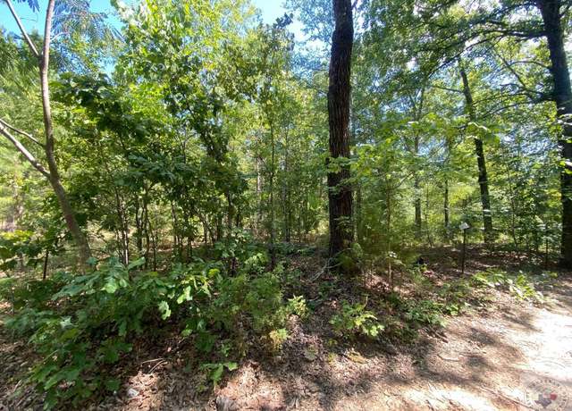 Property at 0 County Road 4507, Dekalb, TX 75559