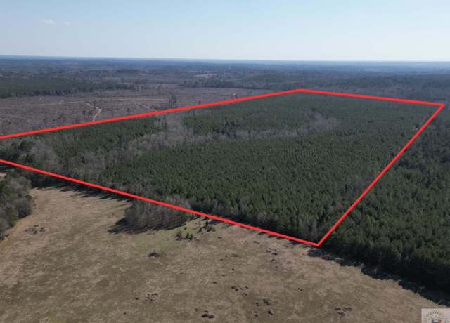 Property at TBD Cr 1896, Linden, TX 75563