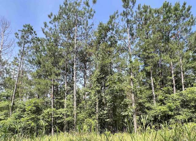 Property at 17.08 ac New Dora Rd, Haworth, OK 74740