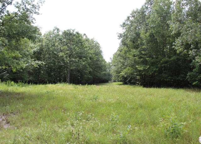 Property at TBD Cr 4670, Dekalb, TX 75559