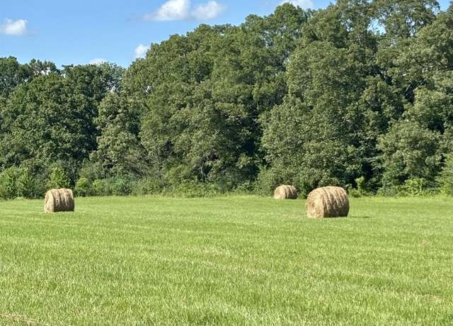 Property at 18.02 ac Daniels Chapel Rd, New Boston, TX 75570