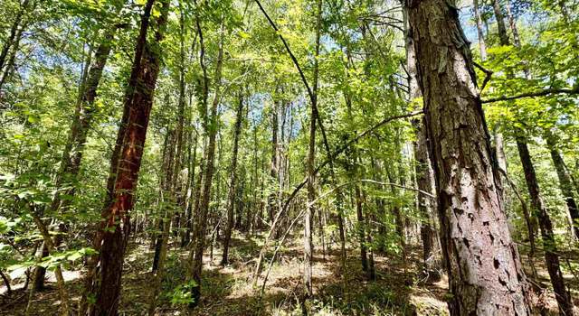 Photo of TBD Cr 4335, Bivins, TX 75555