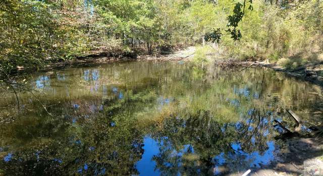 Photo of TBD County Road 2131, Detroit, TX 75436