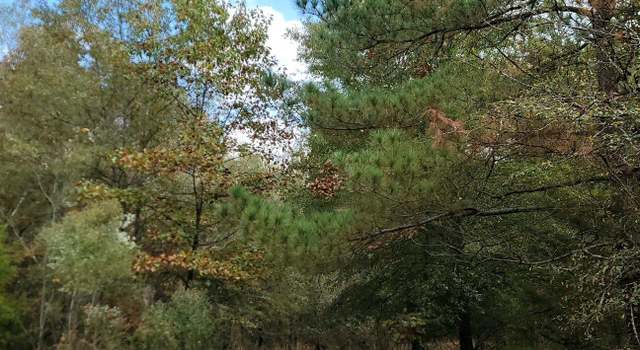Photo of 6202 S Texas State Highway 37, Clarksville, TX 75426