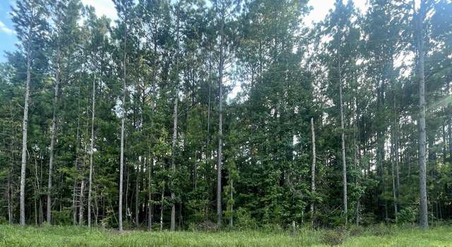 Photo of Miller County 32, Doddridge, AR 71834