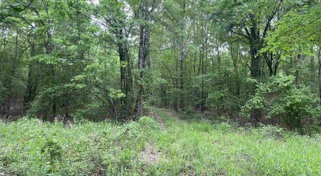 Photo of Cr 4239, Simms, TX 75574