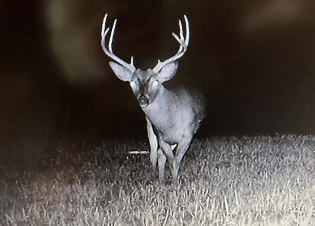 Property at x Dirt Road Off of Shaifer Rd, Port Gibson, MS 39150