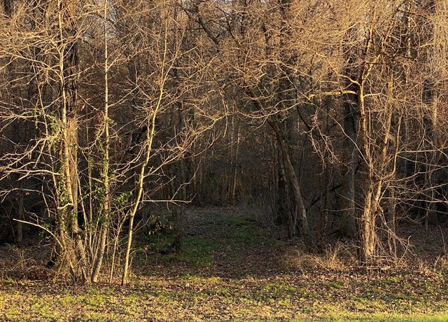 Property at 4682 Phoenix Rd, Vicksburg, MS 39183