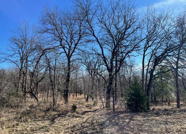 Property at Lot 33 Zebra Xing, Larue, TX 75770