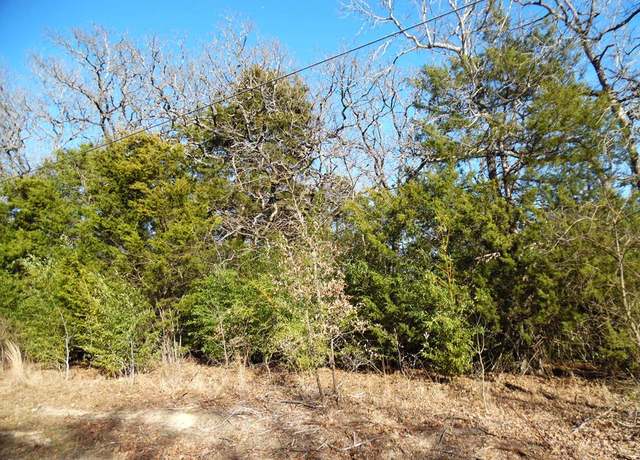 Property at TBD Lt 5 Birch, Murchison, TX 75778